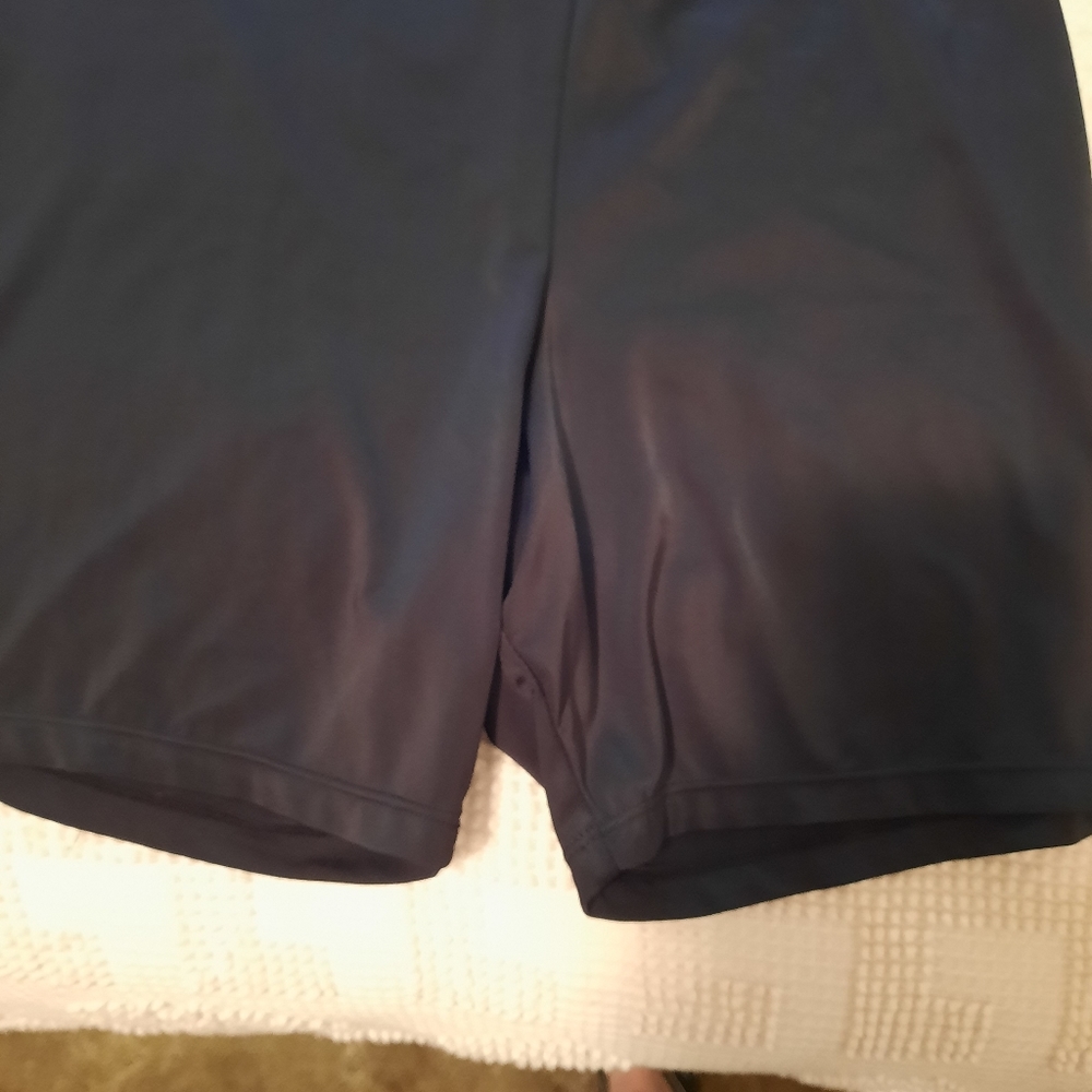 Womens swim shorts sz18